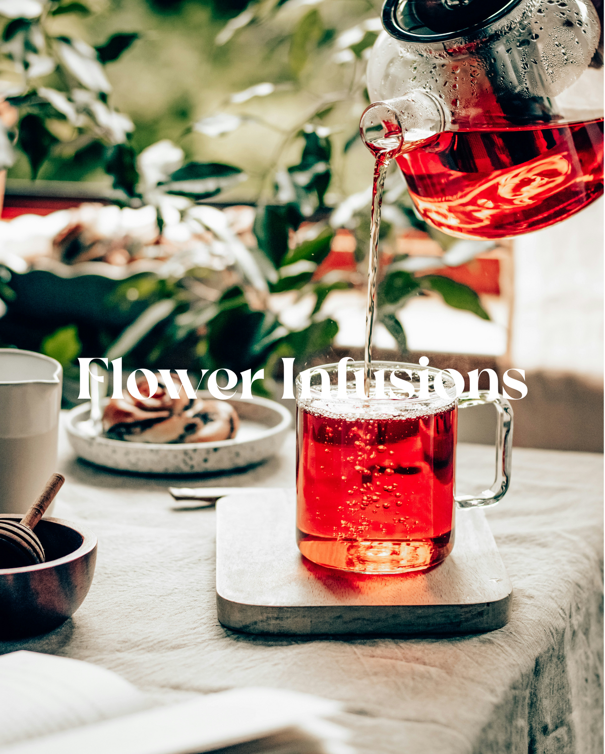 All Flower Infusions | Tulsyam Teas
