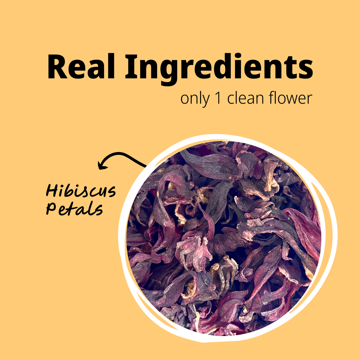 Hibiscus